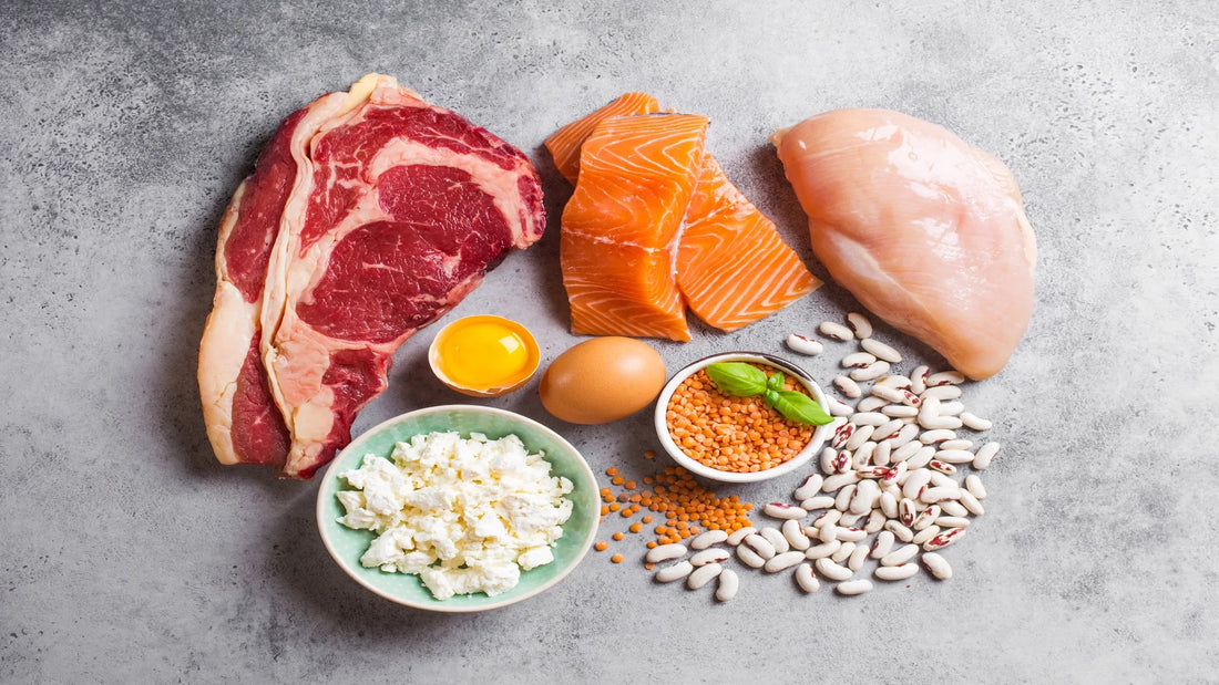Günlük Beslenmede Protein Dengesini Koruma